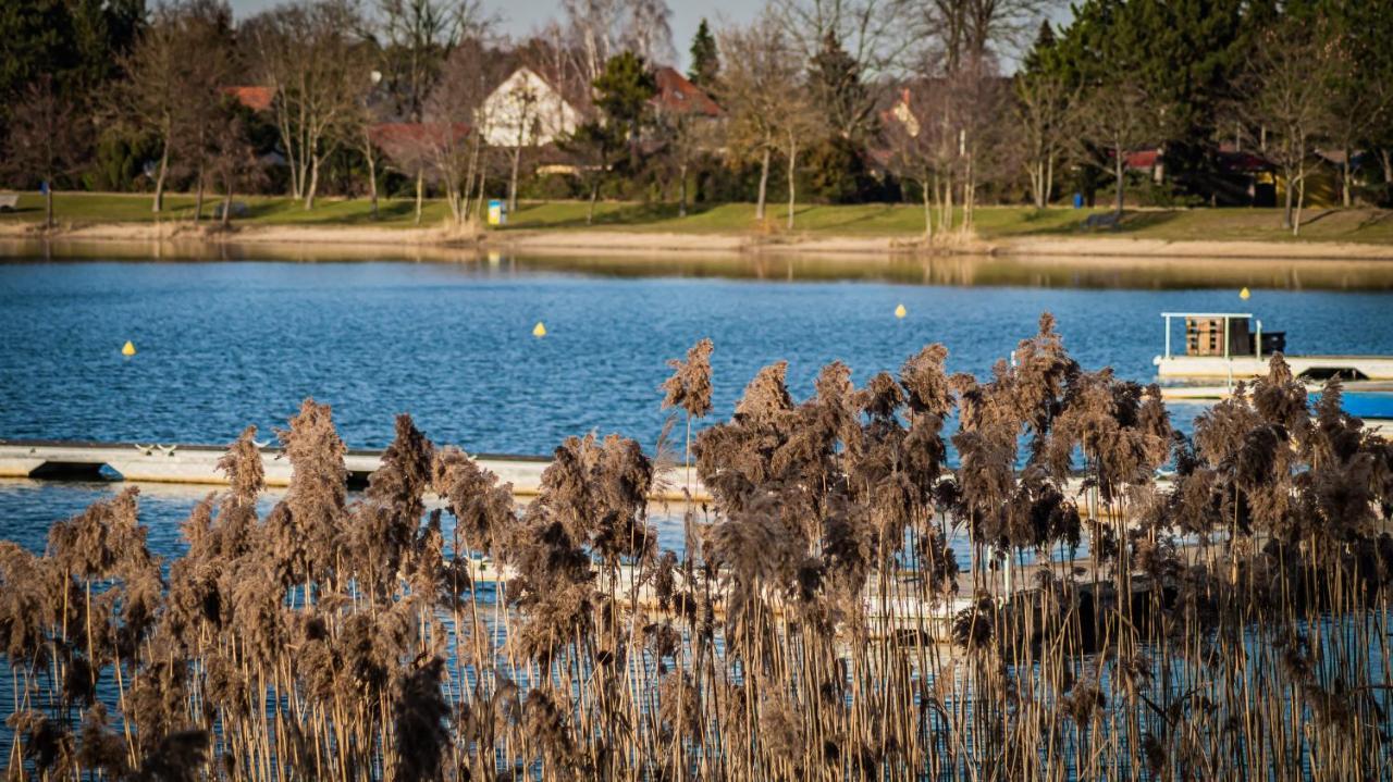 فيلا Ferienhaus Lucie Kiebitzsee Falkenburg المظهر الخارجي الصورة